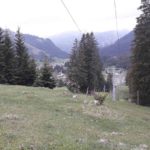 Bikepark Tirol Trailpark Planung Zugspitz Arena Alpen