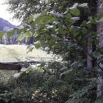 Bikepark Oberammergau Flowtrail Bayern Downhill Alpen 09