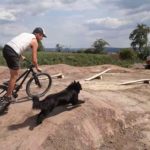 Trailpark Bad Frankenhausen Thueringen Bikepark Jumpline Pumptrack Flowtrail Mountainbikestrecken 34