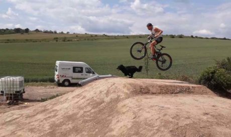 Bikepark Thüringen | Trailpark Bad Frankenhausen | Jumpline Pumptrack Flowtrail