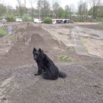 Dirtpark Wadersloh MTB Sprung Bauen Pumptrack Hersteller Turbomatik 007