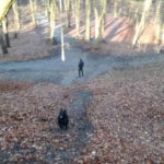 Dirtpark Hamburg Trailpark Mountainbike Trails Legalisieren 02