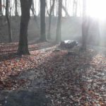 Dirtpark Hamburg Trailpark Mountainbike Trails Legalisieren 03