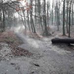 Dirtpark Hamburg Trailpark Mountainbike Trails Legalisieren 05