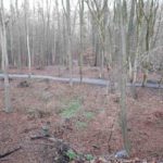 Dirtpark Hamburg Trailpark Mountainbike Trails Legalisieren 09