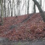 Dirtpark Hamburg Trailpark Mountainbike Trails Legalisieren 10