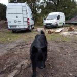 Dirtpark Wittingen Wie Baut Man Eine Mountainbike Strecke 010