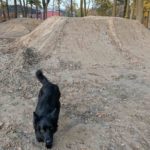 Mountainbike Streckenbau Legden Skillpark Muensterland MTB Trails Legalisierung 009