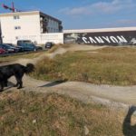 Canyon Pumptrack Streckenbau Dirtpark Koblenz Dirt Jump Shaper 002