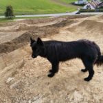 Planung Dirtpark Oesterreich Austria Ried Innkreis 019