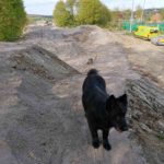 MTB Parcours Brilon BMX Streckenbau Dirtpark Madfeld 031