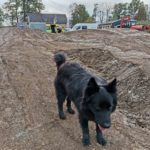 Pumptrack Bauen Campingplatz Borkenberge Enduro Mtb Trails 011