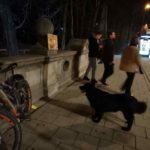 Pumptrack-muenchen-eisbach-welle-surf-nightsurf-winter 005