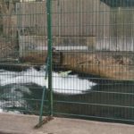 Pumptrack-muenchen-eisbach-welle-surf-nightsurf-winter 016