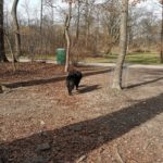 Pumptrack-muenchen-eisbach-welle-surf-nightsurf-winter 019