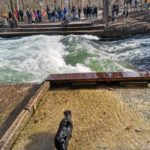 Pumptrack-muenchen-eisbach-welle-surf-nightsurf-winter 045