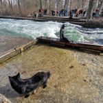 Pumptrack-muenchen-eisbach-welle-surf-nightsurf-winter 055