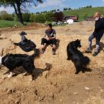 Bikepark Schwaney Altenbeken Mountainbike Eggegebirge 022