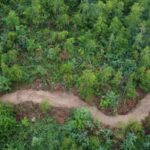 Bikepark Wissen