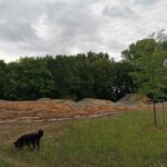 Dirtpark Selfkant Bike-Motorik-Park BMX Race Pumptrack Sittard 032