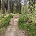 Bikepark Hahnenklee Harz Enduro Mountainbike Anlage 020