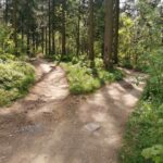 Bikepark Hahnenklee Harz Enduro Mountainbike Anlage 022