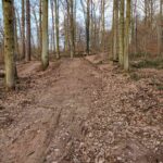Krater Trails Mainaschaff Mountainbike Anlage Aschaffenburg 016