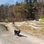 Bikepark Odenwald Dirtpark Michelstadt 015