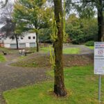Zueschen Mountainbike Pumptrack Im Park Winterberg 003