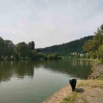 Bikeland Eberbach Mountainbike Trails Baden Württemberg 023