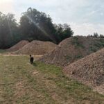 Dirtpark Zavelstein Bikepark Calw Mountainbike Schwarzwald 007