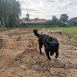 Pumptrack Tetenhusen Dirtpark Schleswig-holstein Mountainbike 021