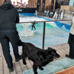 Cyclingworld-duesseldorf-2026 005