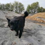 Kids-dirt-track-mundelsheim-neckar-dirtpark-stuttgart 006