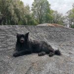 Kids-dirt-track-mundelsheim-neckar-dirtpark-stuttgart 009