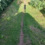 Reshape-dirtpark-renovierung-bikepark-mtb-anlage 002
