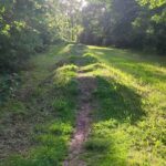 Reshape-dirtpark-renovierung-bikepark-mtb-anlage 004