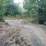 Bikepark-bad-wuenneberg Downhill Mtb-anlage 012