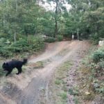 Bikepark-bad-wuenneberg Downhill Mtb-anlage 015