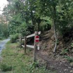 Bikepark-bad-wuenneberg Downhill Mtb-anlage 017