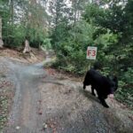 Bikepark-bad-wuenneberg Downhill Mtb-anlage 020