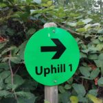 Bikepark-bad-wuenneberg Downhill Mtb-anlage 023
