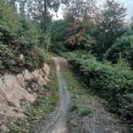 Bikepark-bad-wuenneberg Downhill Mtb-anlage 027