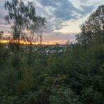 Bikepark-bad-wuenneberg Downhill Mtb-anlage 029