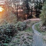 Bikepark-bad-wuenneberg Downhill Mtb-anlage 040